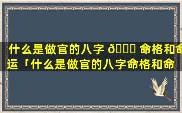 什么是做官的八字 🐝 命格和命运「什么是做官的八字命格和命 🕸 运关系」